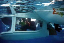 red sea15